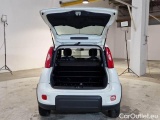  Fiat  Panda FIAT  / 2012 / 5P / BERLINA 1.0 70CV HYBRID EURO 6D VAN 4 P. STREET #5