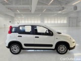  Fiat  Panda FIAT  / 2012 / 5P / BERLINA 1.0 70CV HYBRID EURO 6D VAN 4 P. STREET #7