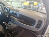 Fiat  Panda FIAT  / 2012 / 5P / BERLINA 1.2 69 CV VAN 2 POSTI EURO6 POP #181