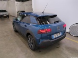 C4 Cactus