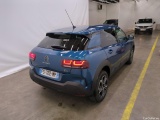 C4 Cactus