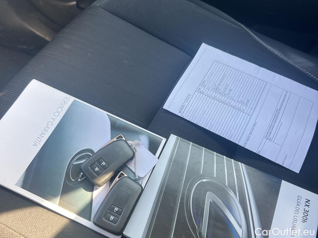  Lexus  NX LEXUS  / 2017 / 5P / todoterreno 2.5 300h Business Navigation 2WD MY2019(CXR) #12