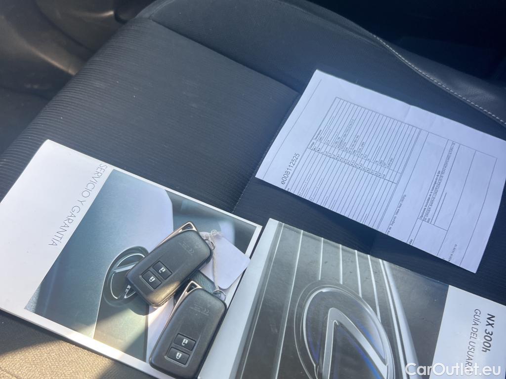  Lexus  NX LEXUS  / 2017 / 5P / todoterreno 2.5 300h Business Navigation 2WD MY2019(CXR) #11