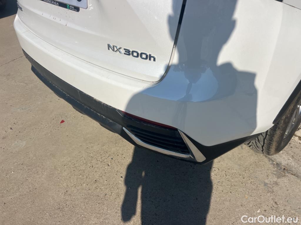  Lexus  NX LEXUS  / 2017 / 5P / todoterreno 2.5 300h Business Navigation 2WD MY2019(CXR) #23