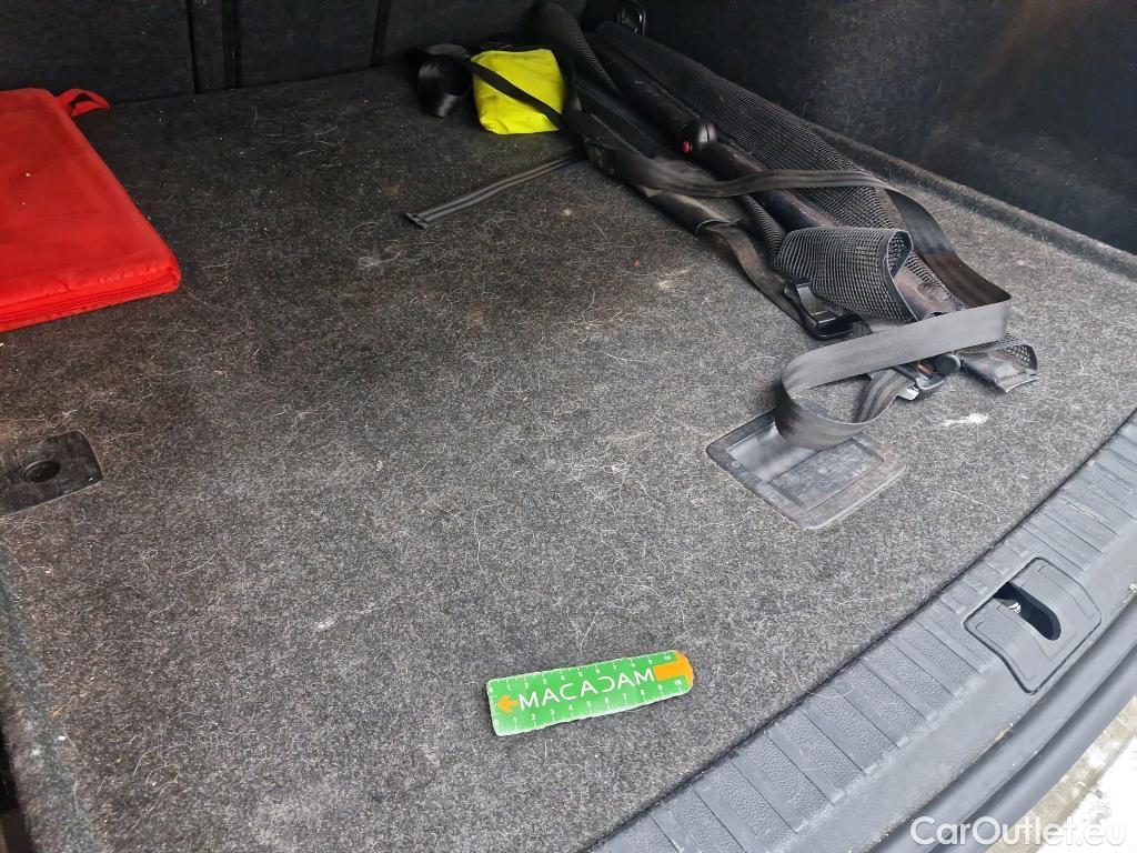  Skoda  Octavia  Break Business 2.0 TDI 150CV BVA7 E6d #67