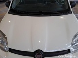  Fiat  Panda FIAT  / 2011 / 5P / BERLINA 0.9 TWINAIR TURBO 85CV WILD 4X4 #28
