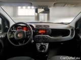  Fiat  Panda FIAT  / 2011 / 5P / BERLINA 1.2 69CV E6D-TEMP EASY #3