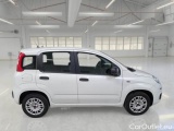  Fiat  Panda FIAT  / 2011 / 5P / BERLINA 1.2 69CV E6D-TEMP EASY #7
