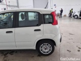  Fiat  Panda FIAT  / 2011 / 5P / BERLINA 1.2 69CV E6D-TEMP EASY #31