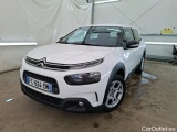 C4 Cactus
