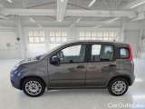  Fiat  Panda FIAT  / 2011 / 5P / BERLINA 1.0 FIREFLY 70CV SeS HYBRID #8