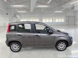  Fiat  Panda FIAT  / 2011 / 5P / BERLINA 1.0 FIREFLY 70CV SeS HYBRID #7