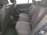  Skoda  Octavia  Combi Business 2.0 TDI 115CV BVM6 E6d #11