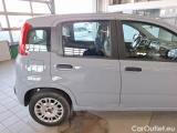  Fiat  Panda FIAT  / 2011 / 5P / BERLINA 1.2 69CV SeS E6D-TEMP EASY #34