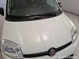 Fiat  Panda FIAT  / 2011 / 5P / BERLINA 1.0 FIREFLY 70CV SeS HYBRID CITY LIFE #29