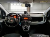  Fiat  Panda FIAT  / 2011 / 5P / BERLINA 1.2 69 CV EASYPOWER E6D-TEMP EASY #3