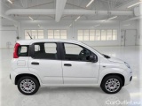  Fiat  Panda FIAT  / 2011 / 5P / BERLINA 1.2 69 CV EASYPOWER E6D-TEMP EASY #7