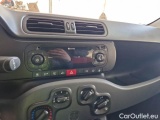  Fiat  Panda FIAT  / 2011 / 5P / BERLINA 1.2 69 CV EASYPOWER E6D-TEMP EASY #97