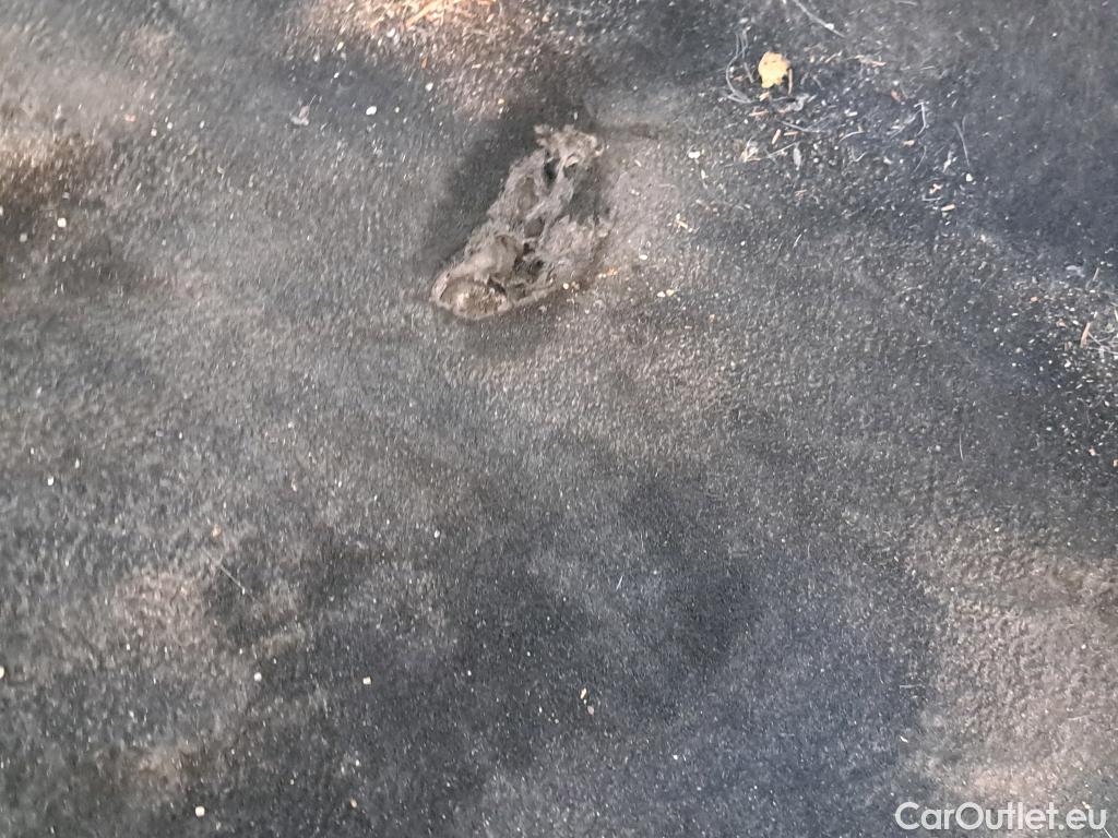  Cupra  Formentor CUPRA  / 2020 / 5P / todoterreno 1.5 TSI 110kW (150 CV) #8