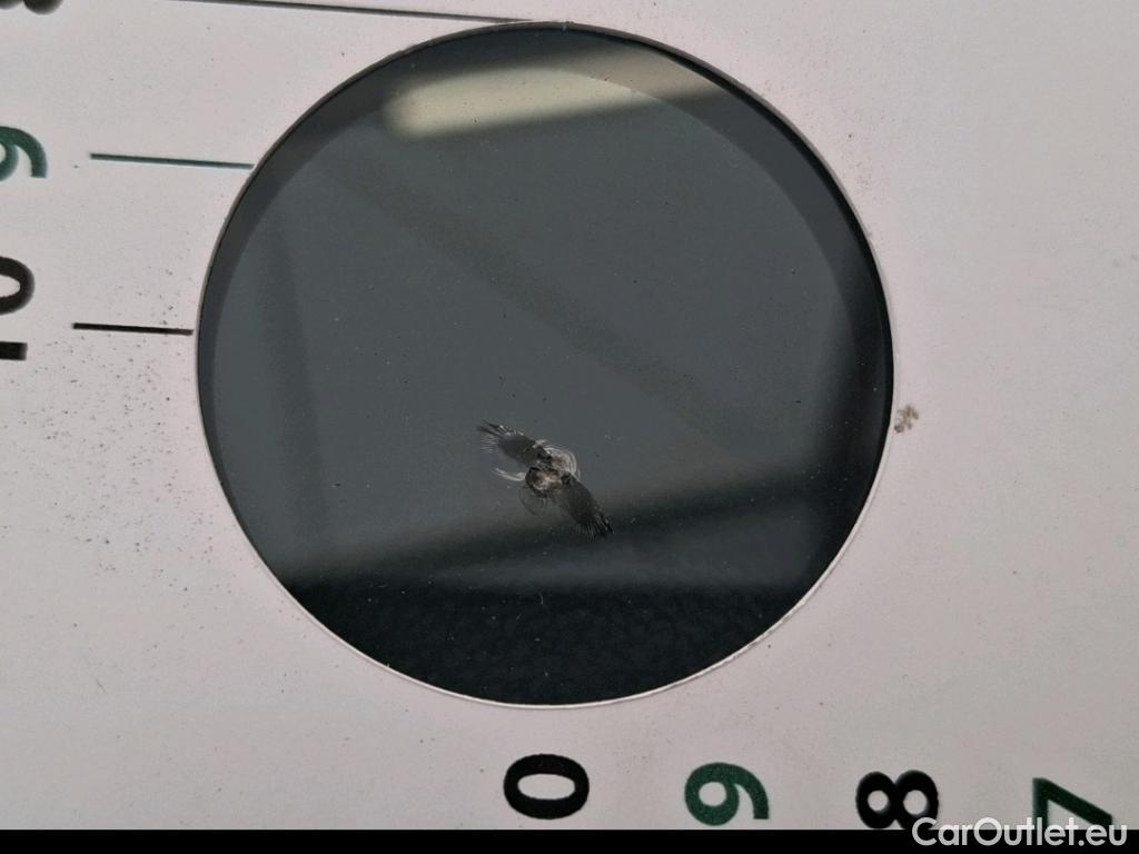  Renault  Kangoo  II Express Maxi Extra (Série Spéciale) - Cab. Appr. 1.5 dCi 95CV BVM6 E6dT #62