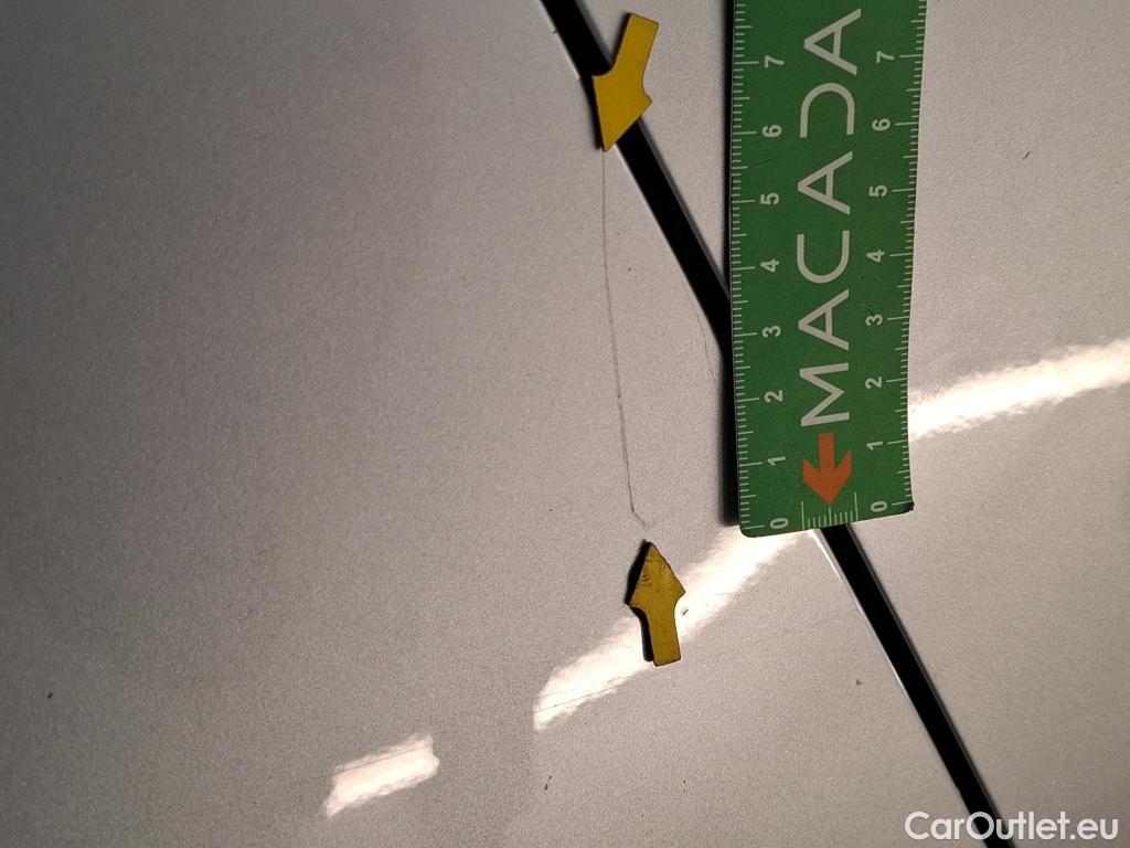  Renault  Megane  IV Grandtour Business 1.5 dCi 115CV BVM6 E6d #53