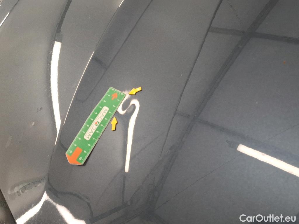  Renault  Megane  IV Estate Evolution 1.5 dCi 115CV BVA7 E6d #22