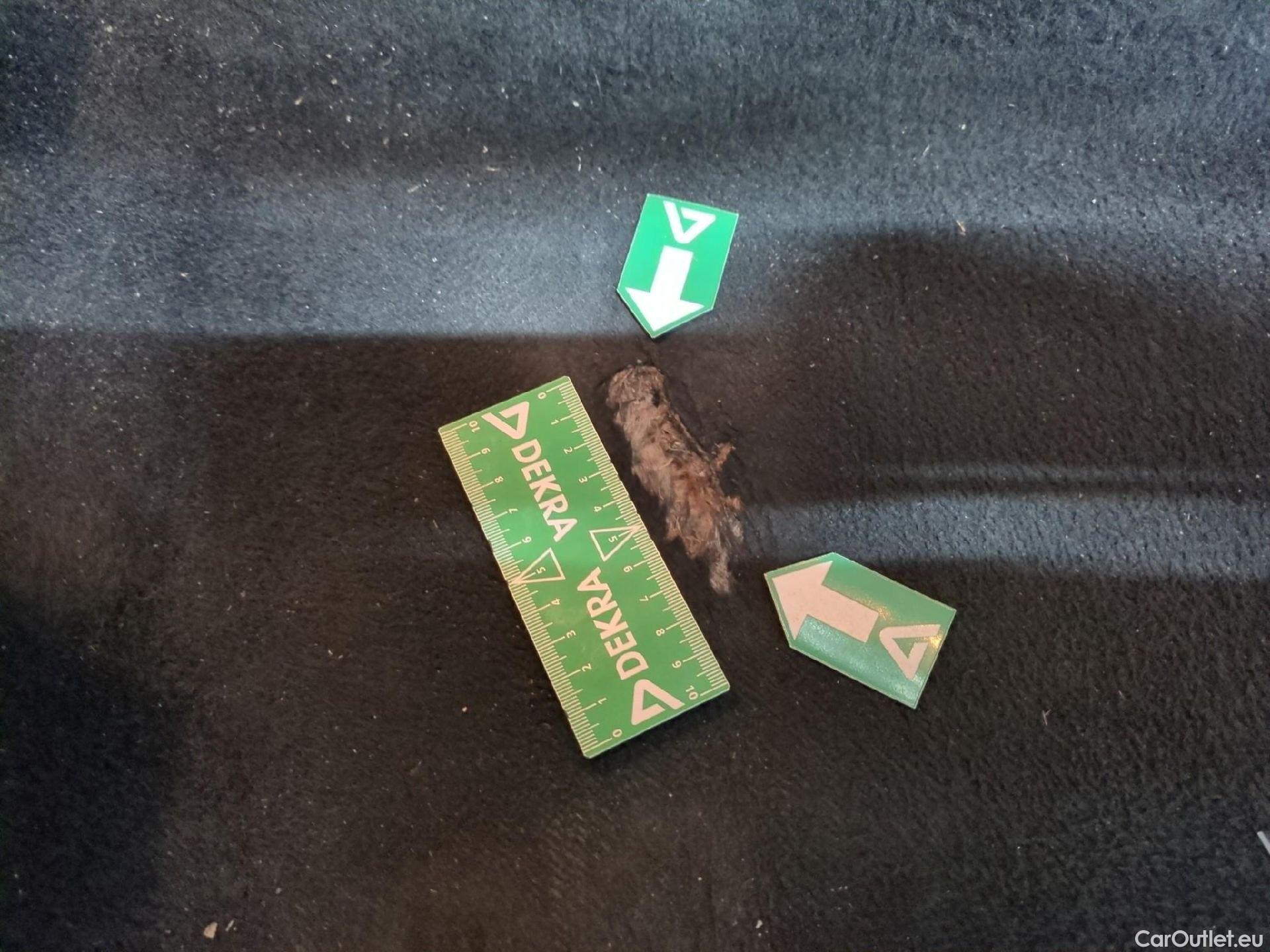  Seat  ATECA  Style Business 1.0 TSI 110CV BVM6 E6d #35