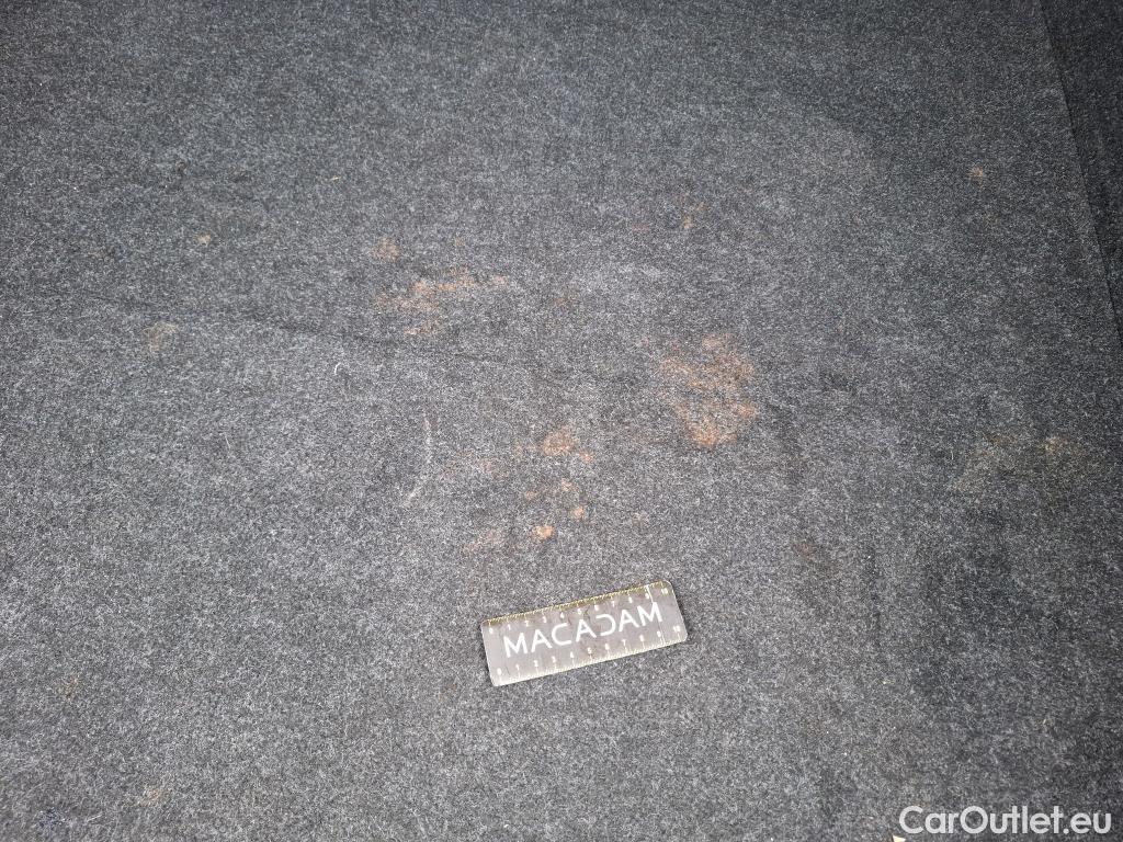  Skoda  Octavia  Berline Business 2.0 TDI 115CV BVM6 E6d #4