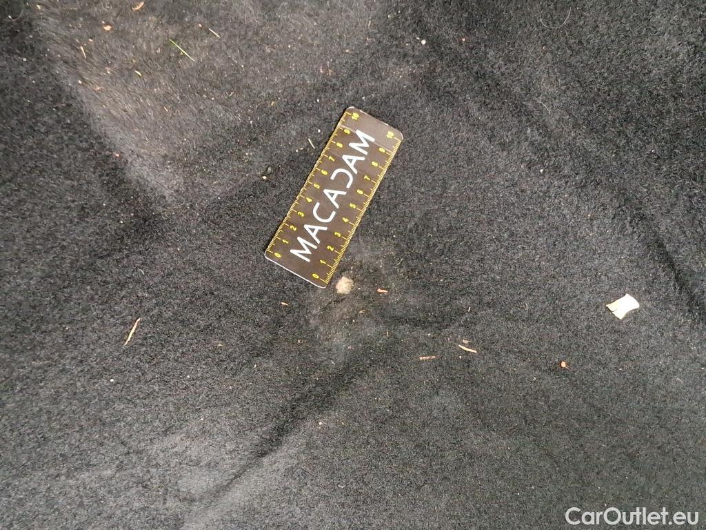  Skoda  Octavia  Berline Business 2.0 TDI 115CV BVM6 E6d #2