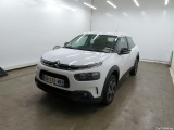 C4 Cactus