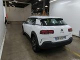 C4 Cactus