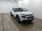 C4 Cactus