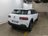 C4 Cactus