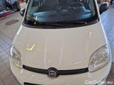  Fiat  Panda FIAT  / 2011 / 5P / BERLINA 0.9 TWINAIR TURBO 85CV SeS E6D-TEMP 4X4 #26