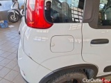  Fiat  Panda FIAT  / 2011 / 5P / BERLINA 0.9 TWINAIR TURBO 85CV SeS E6D-TEMP 4X4 #53