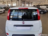  Fiat  Panda FIAT  / 2011 / 5P / BERLINA 0.9 TWINAIR TURBO 85CV SeS E6D-TEMP 4X4 #58