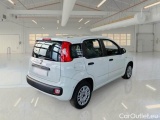  Fiat  Panda FIAT  / 2011 / 5P / BERLINA 1.2 69CV E6D-TEMP EASY #2