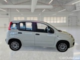  Fiat  Panda FIAT  / 2011 / 5P / BERLINA 1.2 69CV E6D-TEMP EASY #7