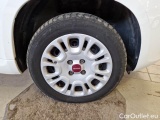  Fiat  Panda FIAT  / 2011 / 5P / BERLINA 1.2 69CV E6D-TEMP EASY #17