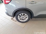  Ford  Kuga FORD  / 2019 / 5P / SUV 1.5 ECOBLUE 120CV 2WD TITANIUM AUTO #65
