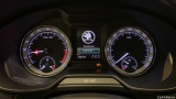  Skoda  Octavia Oct.Com.TDI 150 Style BL.Aut. #6