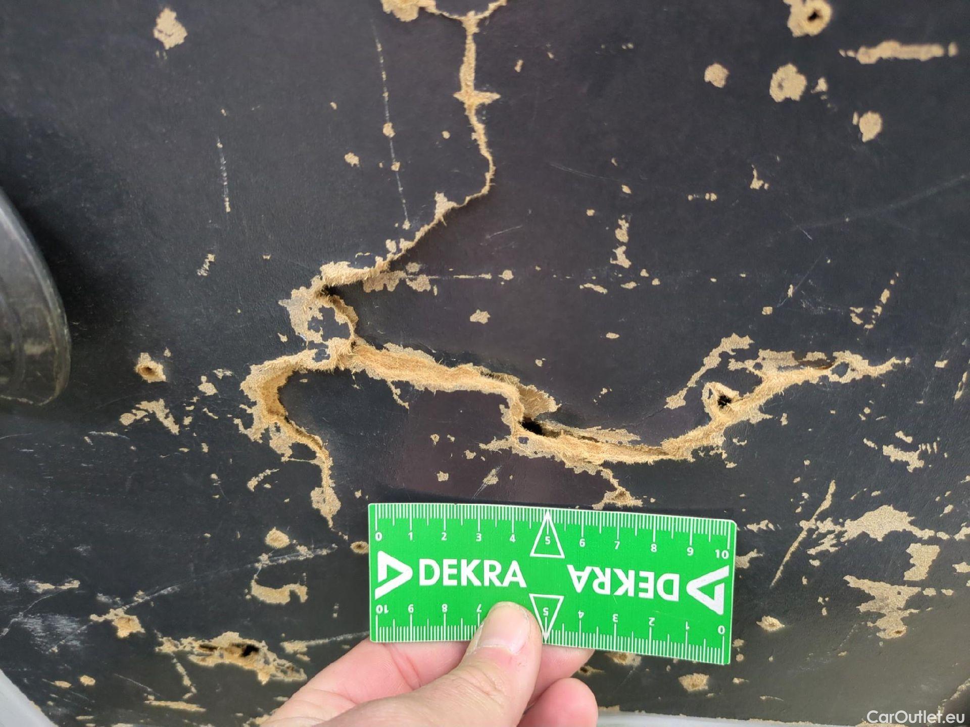  Renault  Kangoo  II Express Maxi Extra (Série Spéciale) - Cab. Appr. 1.5 dCi 95CV BVM6 E6dT #13