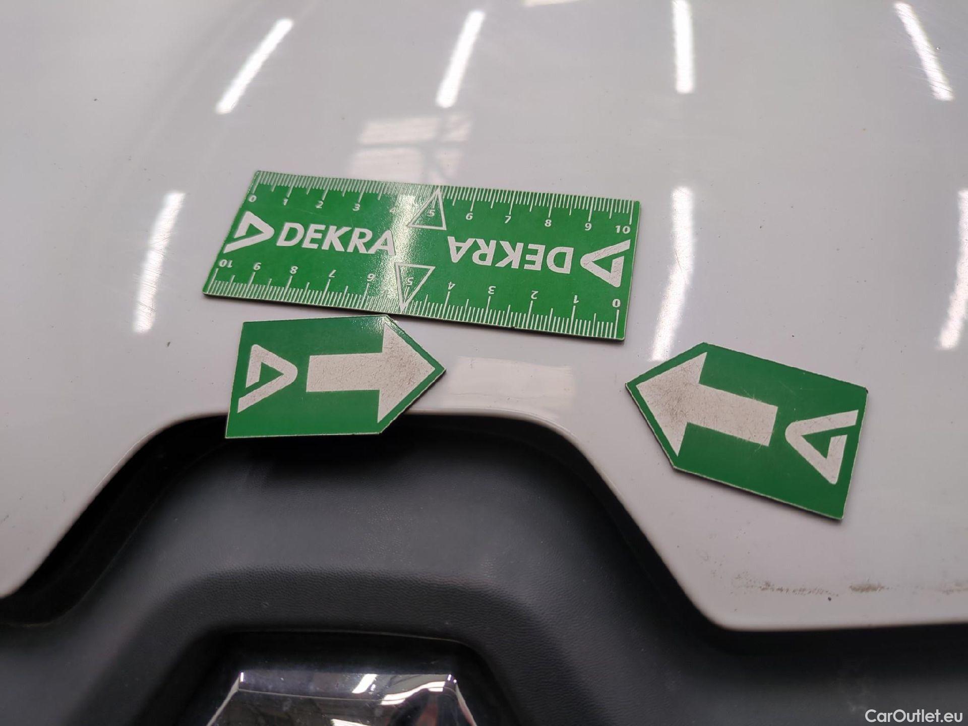  Renault  Kangoo  II Express Maxi Extra (Série Spéciale) - Cab. Appr. 1.5 dCi 95CV BVM6 E6dT #59