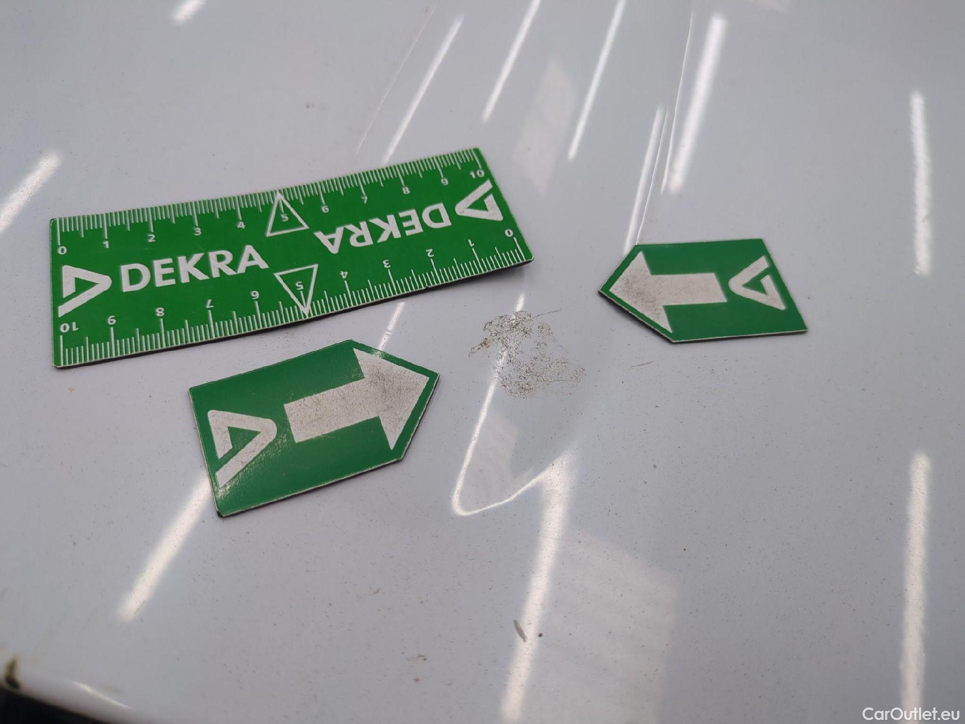  Renault  Kangoo  II Express Maxi Extra (Série Spéciale) - Cab. Appr. 1.5 dCi 95CV BVM6 E6dT #40