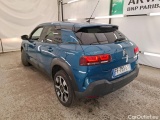 C4 Cactus