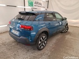 C4 Cactus