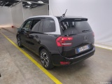  Citroen  C4 Grand Picasso /Spacetourer Business + 1.5 BlueHDi 130CV BVM6 E6d #2