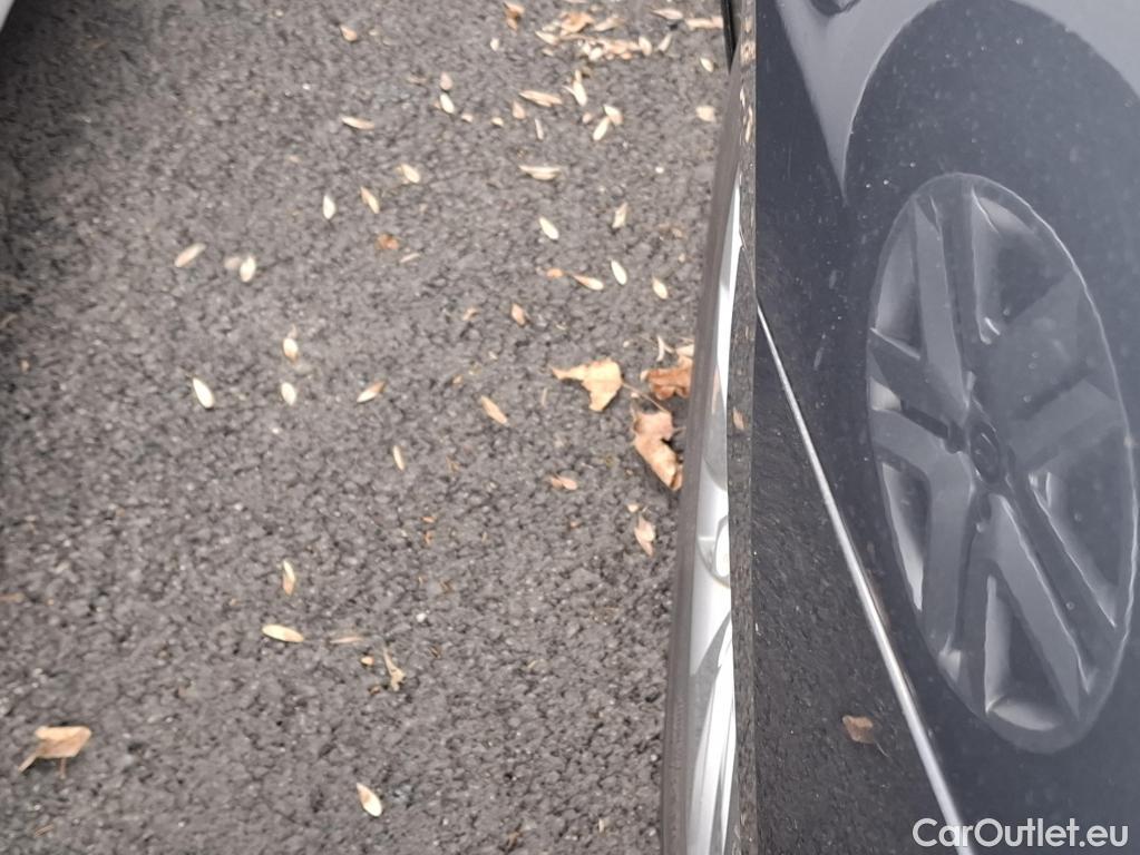  Skoda  Octavia  Combi Business 2.0 TDI 115CV BVM6 E6dT #17