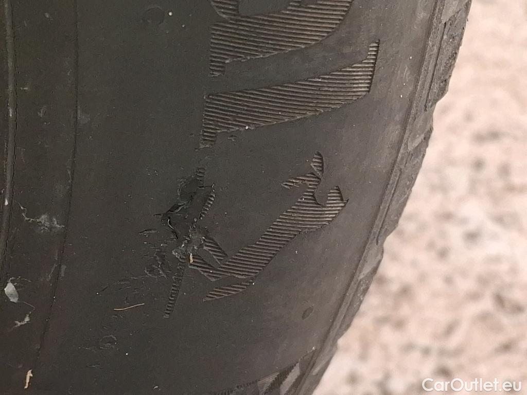  Skoda  Octavia  Combi Business 2.0 TDI 115CV BVM6 E6dT #3