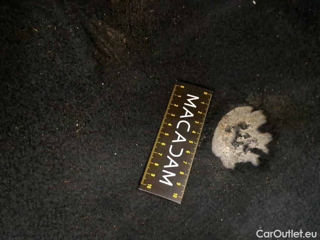  Skoda  Octavia  Break Business 2.0 TDI 150CV BVA7 E6d #2